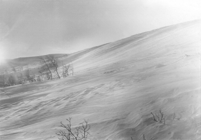 Dyatlov Pass: Search 1959