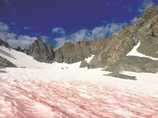 Dyatlov Pass: Blood snow, watermelon snow, red snow