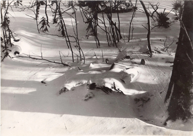 Первое фото найденных замерзших дятловцев