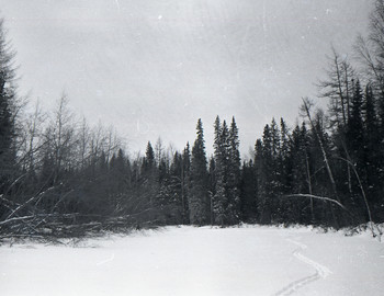29 Jan 1959 - Lozva river, morning on Lozva river, Krivonischenko took a picture of the winding ski trail.