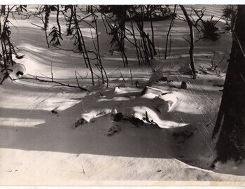 The bodies of Doroshenko and Krivonischenko. Photo by E. Serdityh from Feb 27. Karelin archive.