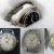 Watches in the Dyatlov group