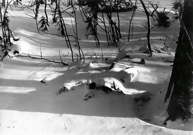 The bodies of Doroshenko and Krivonischenko