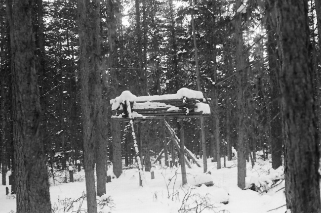 Mansi labaz near Auspiya, photo Jan 29, 1959