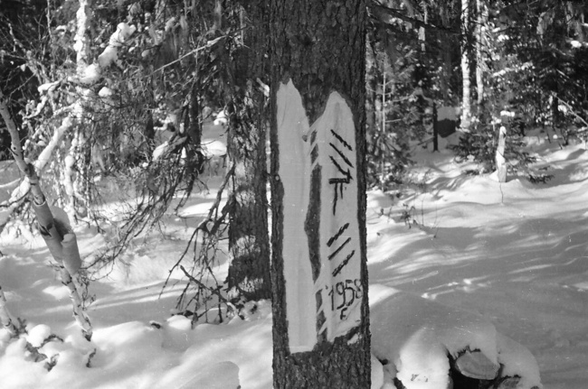 Fake Mansi sign