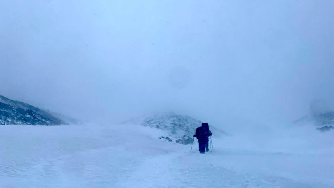 Photo: David Zonshayn