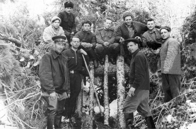 Плотина, построенная в ручье поисковиками в мае 1959г.