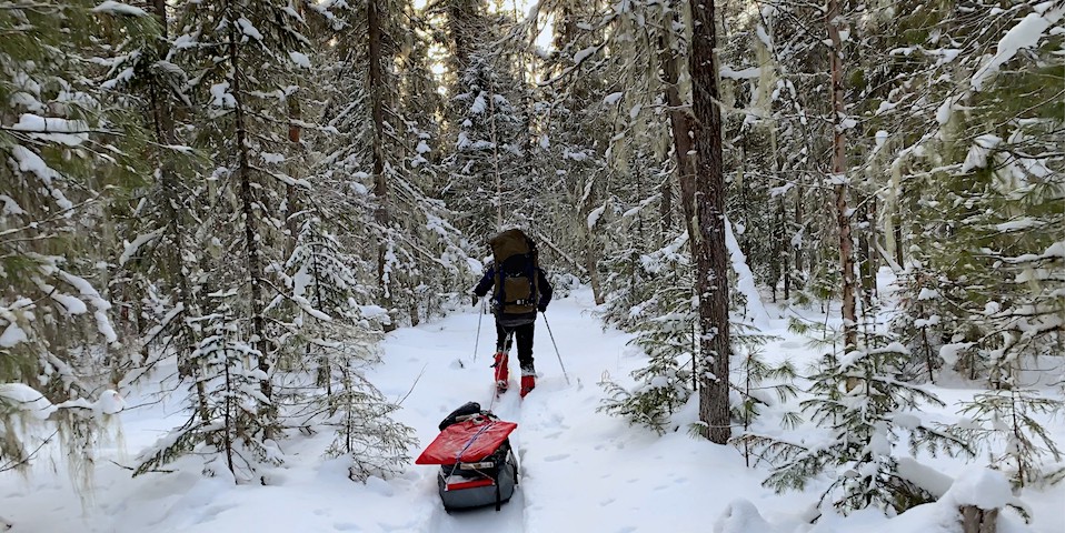 Dyatlov Pass: Artem Domogirov, pushing through pristine snow in the Auspiya valley