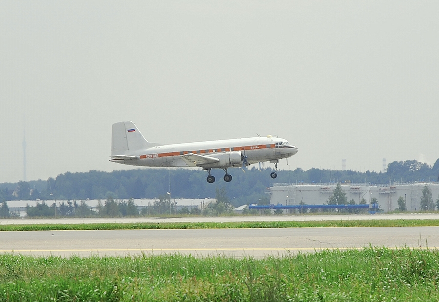 IL-14M