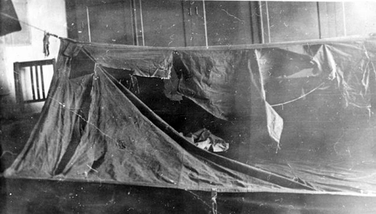 Cuts on the hiker's tent