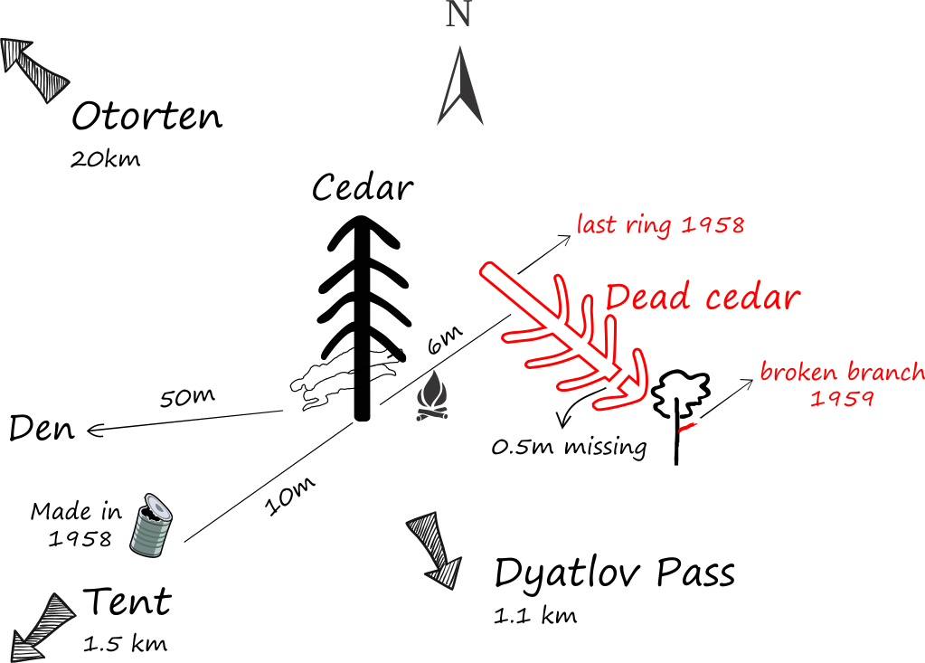 Live cedar, dead cedar and riabina