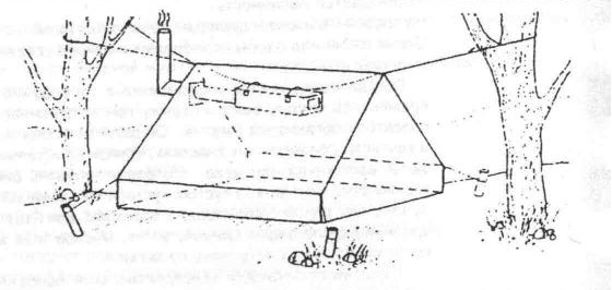 Illustration from "Survival basics"