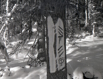 Mansi signs on Auspiya. In Mansi they are called "katpos" which means "hand sign" or "hand mark".