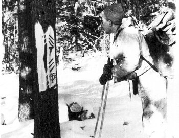 Krivonischenko looks at Mansi signs called "katpos". At the bottom of the second tree are harvested logs.