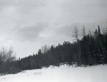 28 Jan 1959 - Lozva river, lunch break. Shot of the surrounding landscape, low shores, dense forest, the sky is cloudy.