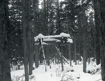 29 Jan 1959 - Auspiya river, following the Mansi hunter trail Dyatlov group came across a Mansi labaz (storage platform)
