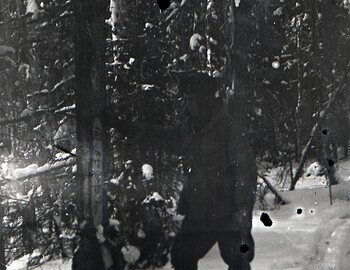 Yuri Doroshenko examining the Mansi signs.