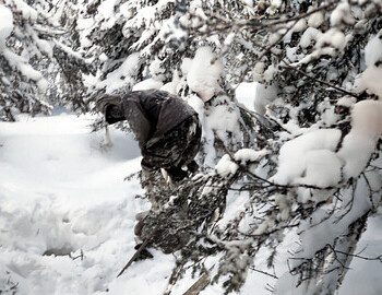 Jan 29, halt on Auspiya, Thibeaux-Brignolle goofing in the snow.