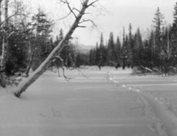 30 Jan 1959 - Auspiya river, the ski tracks of the group is clearly visible and 5 figures in the distance.