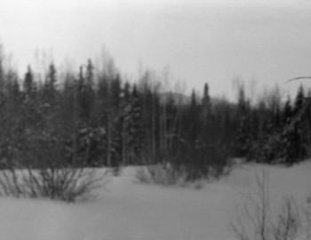 30 Jan 1959 - Auspiya river, winter forest. Evening, 5 pm, the group is looking for a place to spend the night. 