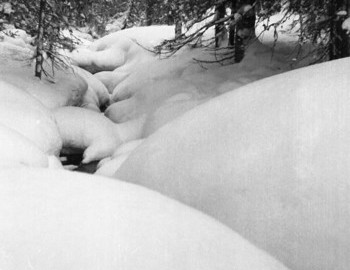 31 Jan 1959 - Auspiya river, walking along the creek is not possible, large snowdrifts and deep snow.
