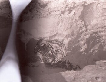 Discovery of Slobodin. Photo from Mar 5.