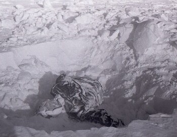 Discovery of Slobodin. Photo from Mar 5. The photo was included in the case files vol.1 sheet 394.