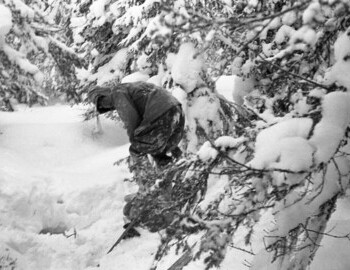 Nikolay got out of the snowdrift, got to his feet, put on his right foot boots and looked at the guys.