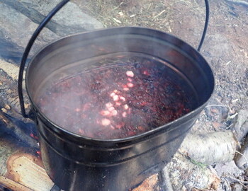 Concoction with Golden root