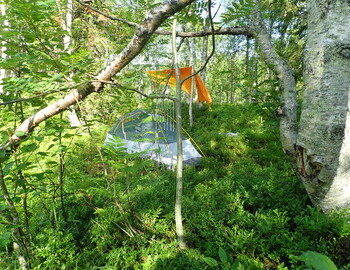My wind chimes made from metal tent pegs
