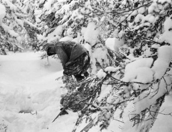 Halt in the forest. Jan 29. Thibeaux-Brignolle "Yeti"