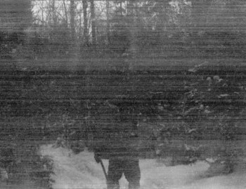 The group turned off from Lozva river and went to Auspiya through the forest following the ski trail of a Mansi hunter.