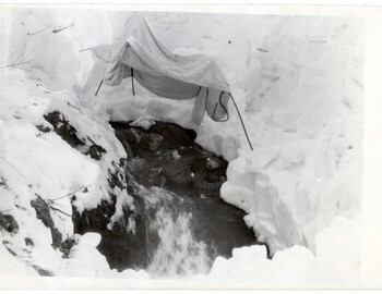 6S-41