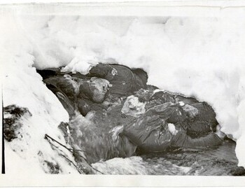 6S-43