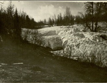 The photo was included in case files vol.2 sheet 87. An auxiliary excavation is visible on the left bank made in order to place Dubinina's body for better preservation.