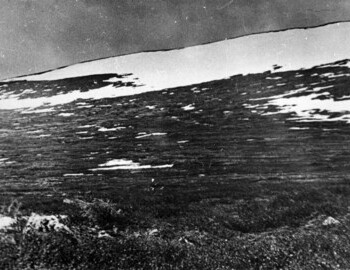 This is how the slope at height 1079 looked in May.