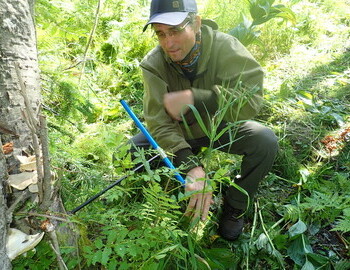 Aleksander Konstantinov taking core samples on the expedition in 2022 per my request. His borer is standard 5mm.