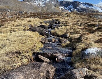 Stream (a burn) in the Cairngorm