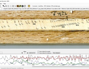 Birch "17" referenced with the 2 stem birch (screen 1)