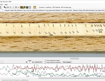 Birch "17" referenced with the 2 stem birch (screen 2)