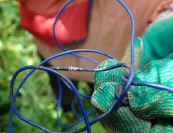 Wire stranded 0.75 mm2 blue insulation, twisted and tied in a knot. At one end it had white oxide, presumably from the battery terminal. Most likely used for flashlights in tents (miner's light bulb)