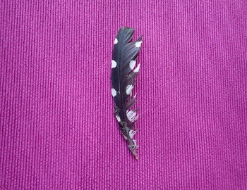 My feather from a spotted nutcracker stuck with cedar resin