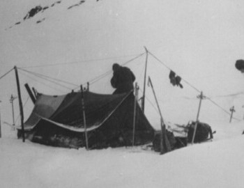 1958