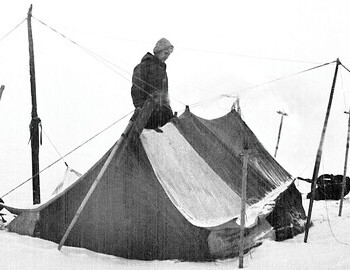 1958