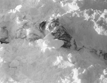 The body of Zina Kolmogorova was found by a rescue dog Alma (Альма) under 50 cm of snow.