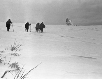 1959 - Coming from the search camp. The memorial plaque is on the opposite side looking towards the ravine and cedar where the bodies were found.