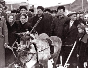1961 - Mansi deer have always enjoyed enormous popularity in the days of national holidays. Photo by Leonid Vladimirovich Shutov