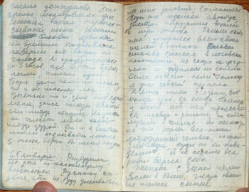 Lyudmila Dubinina's diary page 5