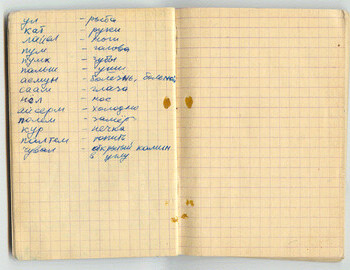 Rustem Slobodin's diary page 5