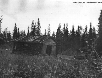 Dmitry Sambindalov's hut on Malaya Sosva, 1982. Photo by V. Maltsev.
